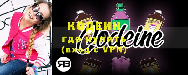 apvp Инта
