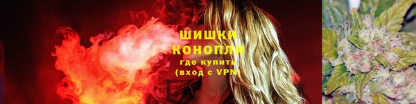 мяу мяу мука Инсар