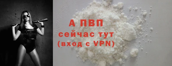 мяу мяу мука Инсар