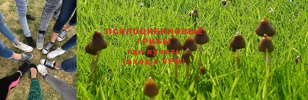 мяу мяу мука Инсар