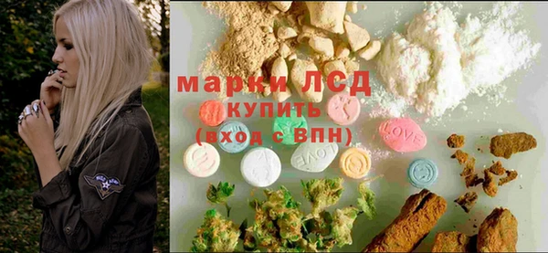 apvp Инта