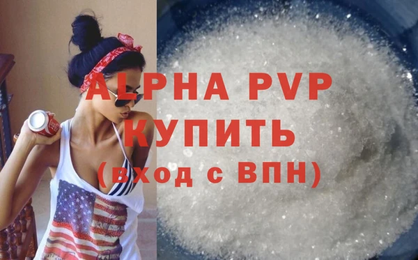 мяу мяу мука Инсар
