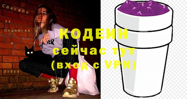 apvp Инта