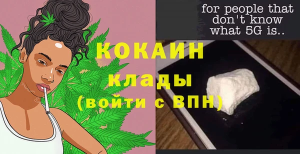 мяу мяу мука Инсар