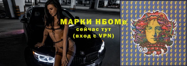 apvp Инта