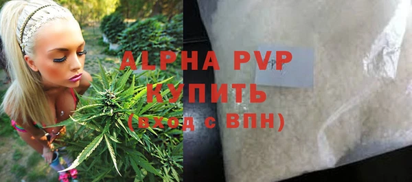 мяу мяу мука Инсар