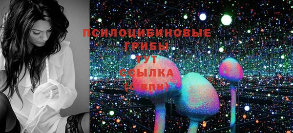 apvp Инта