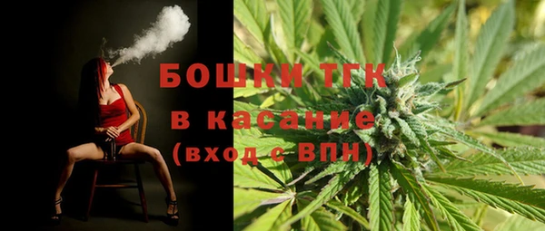 мяу мяу мука Инсар