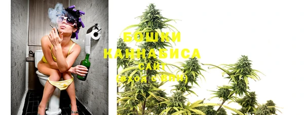 apvp Инта
